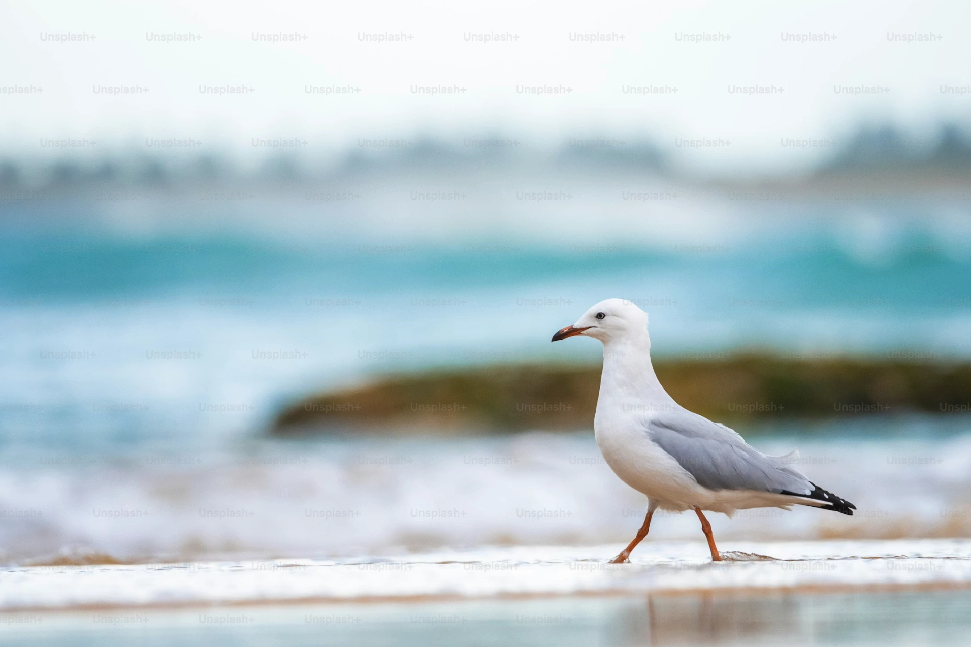 Ágúst – kvikmyndatökumaður