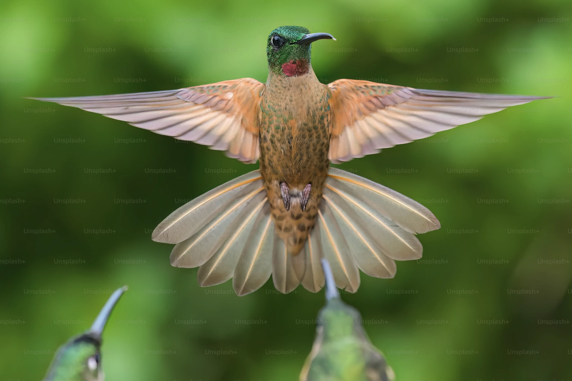 Karl – kvikmyndatökumaður