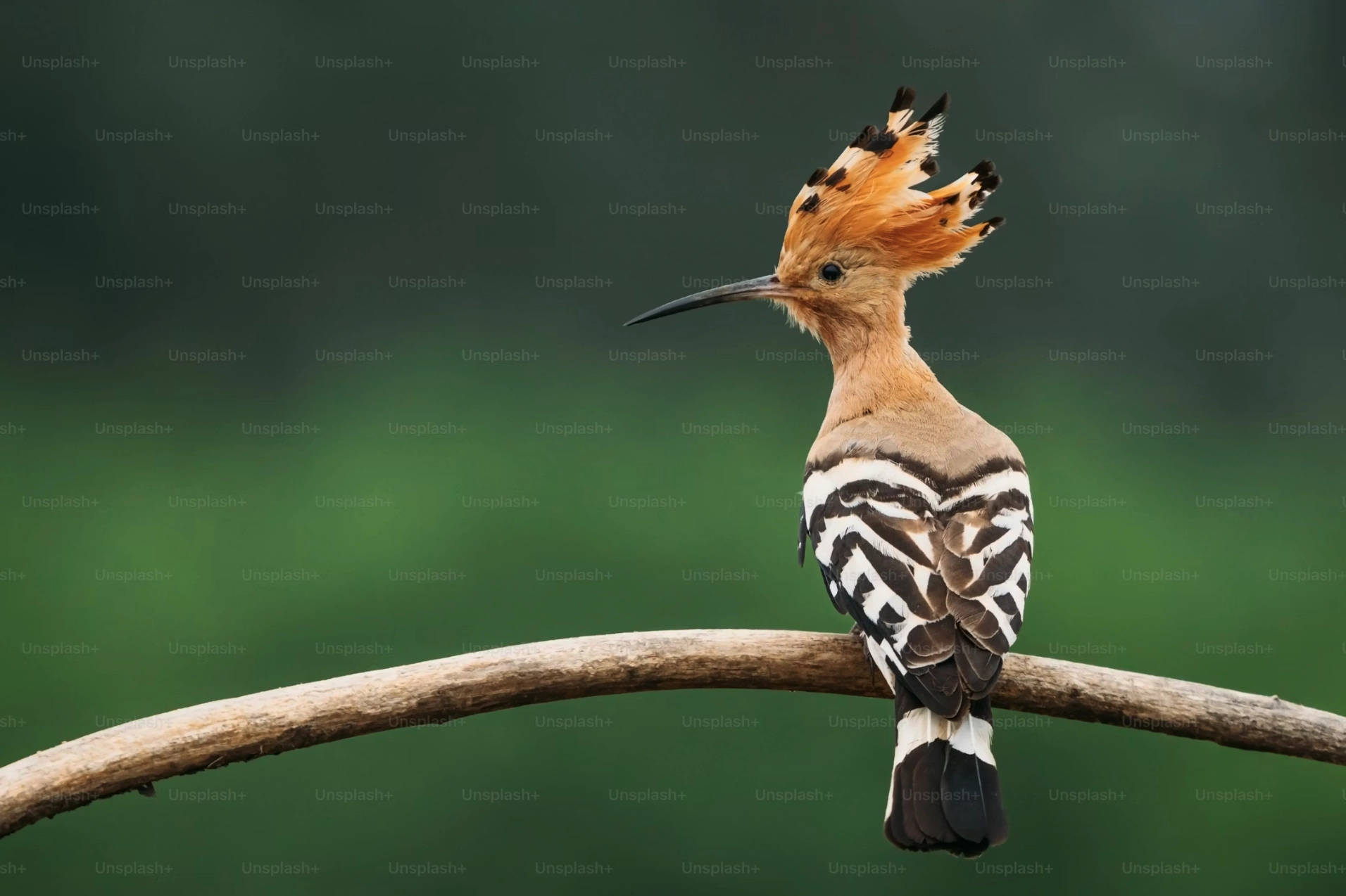 Óttar – kvikmyndatökumaður